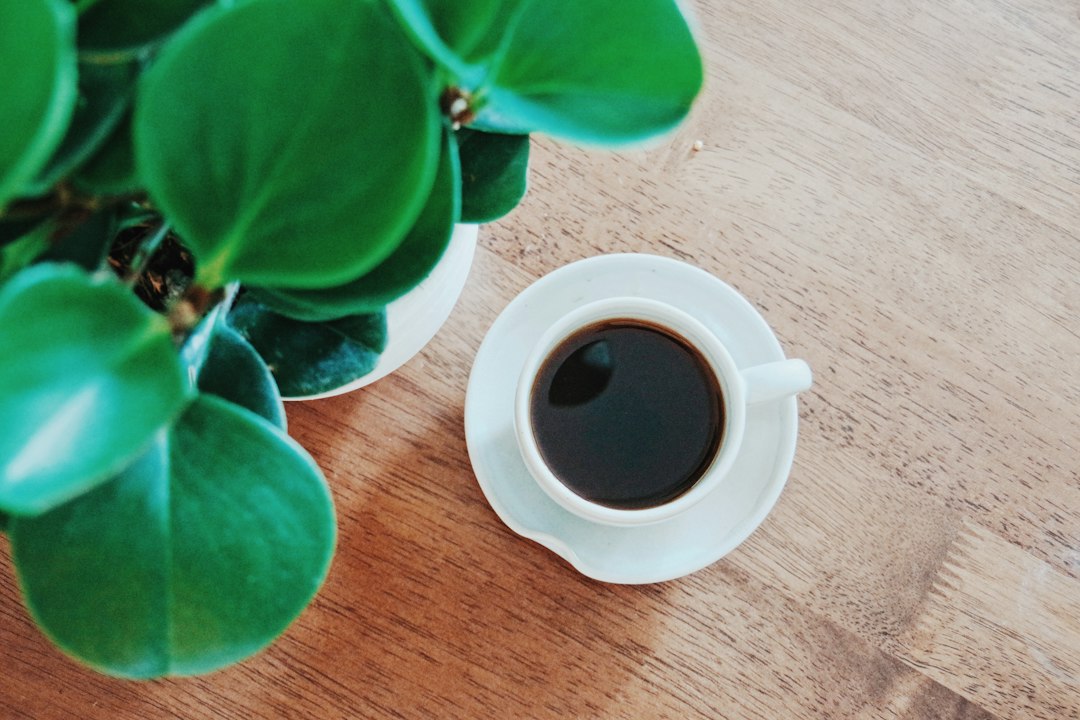 テーブルのコーヒーカップと落ち着いた店内