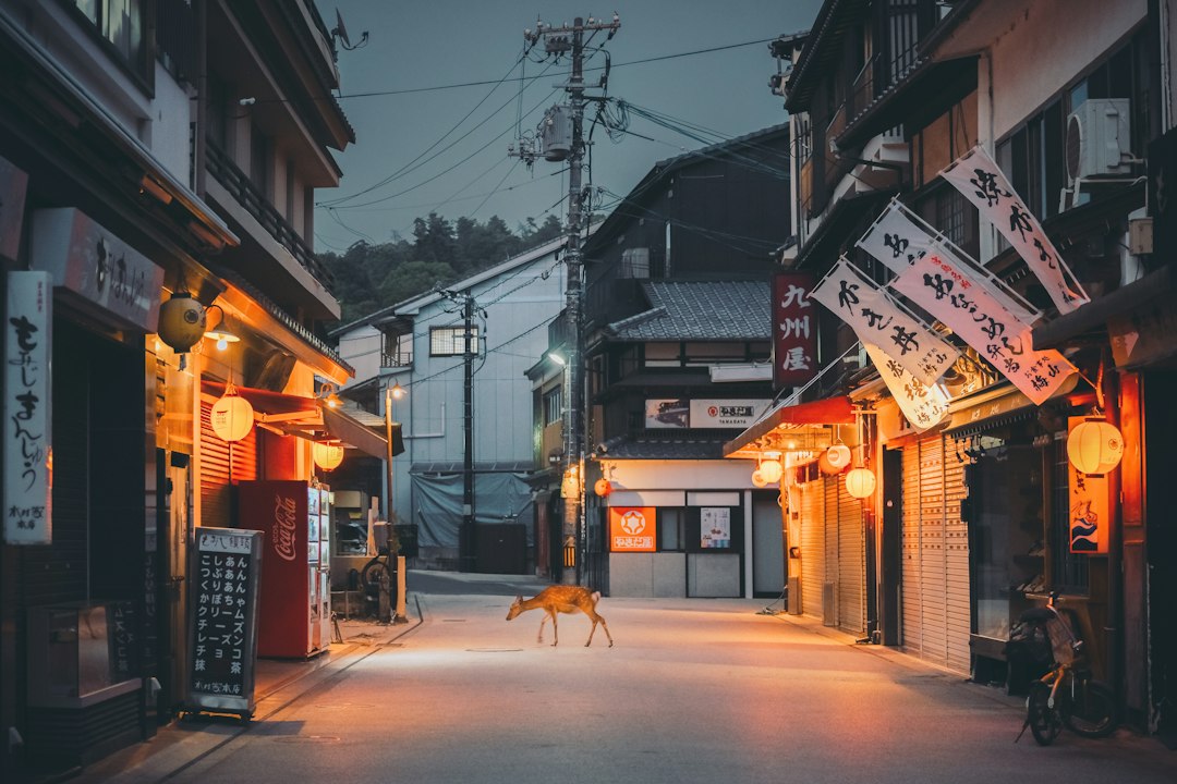 夜の繁華街の路地と看板の明かり